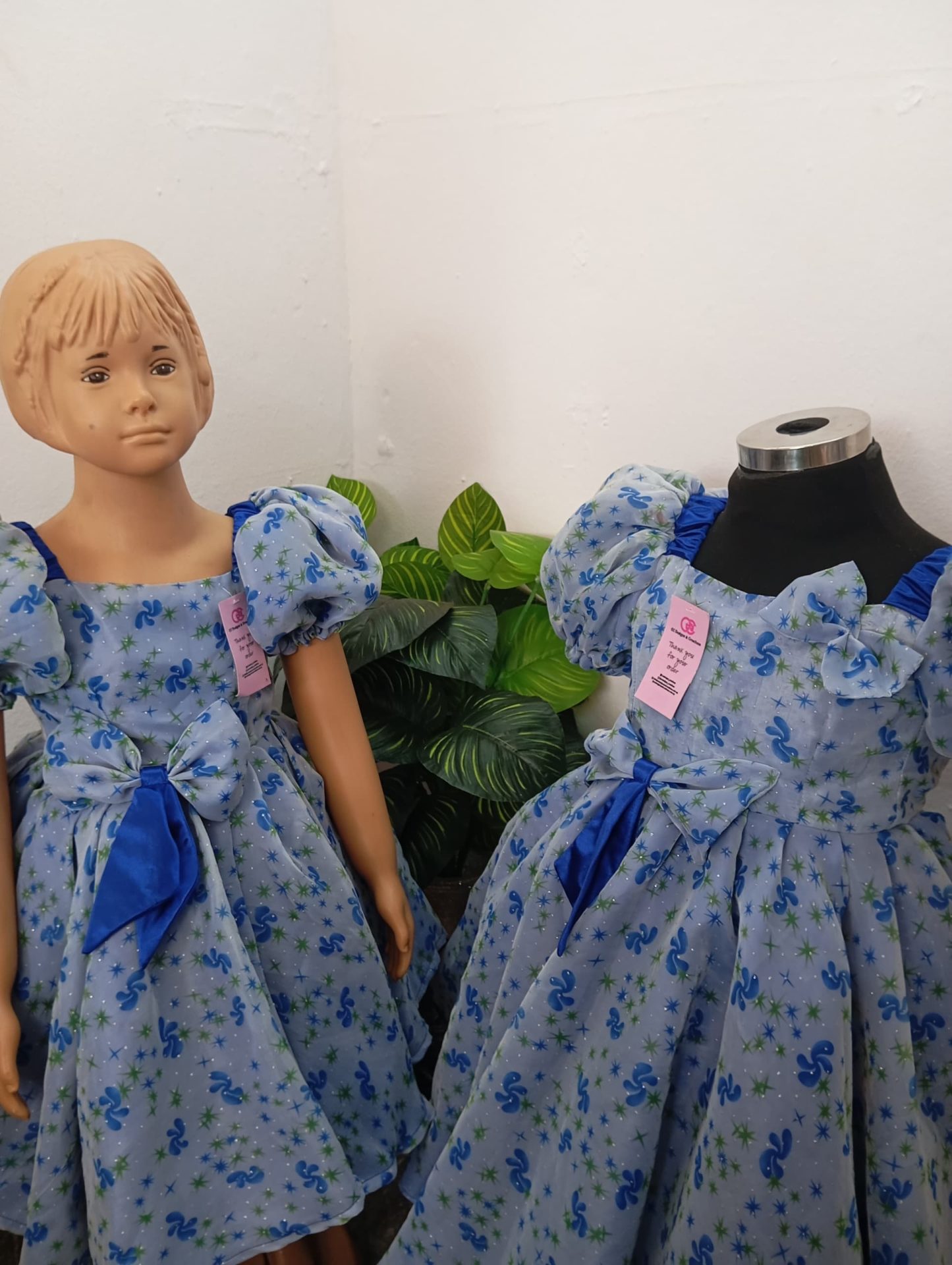 Little Princess Dress